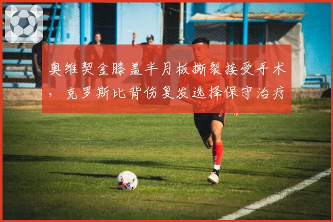 奥维契金膝盖半月板撕裂接受手术，克罗斯比背伤复发选择保守治疗，NHL两大巨星复出时间表分化